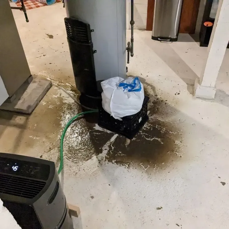 Sewage Backup Cleanup Service in New Llano, LA
